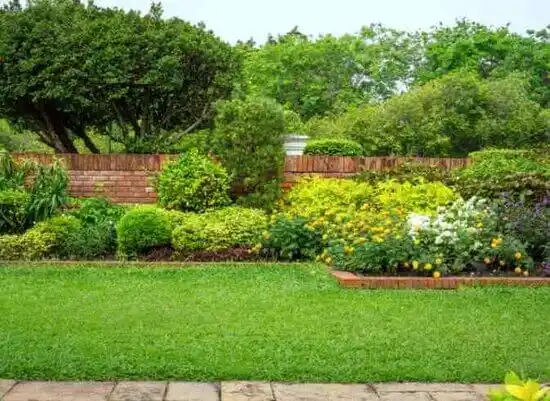 landscaping services Pasadena Hills